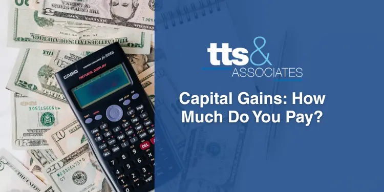 Capital Gains How Much Do You Pay